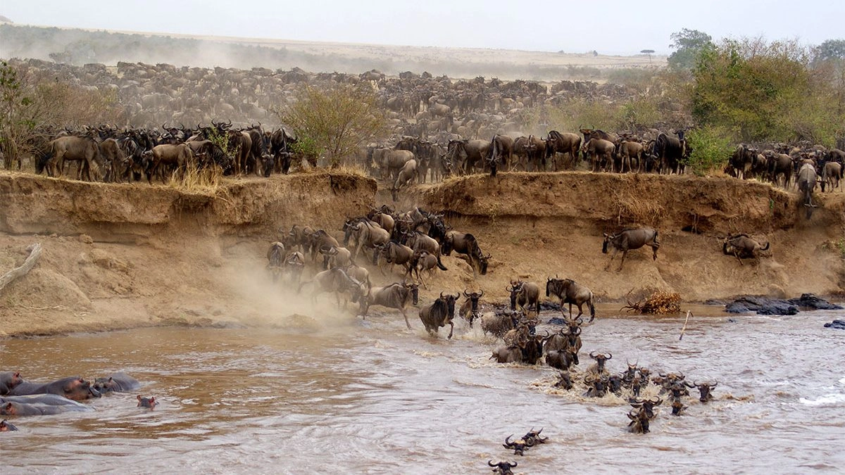 6 Days Samburu & Masai mara Flight Safari