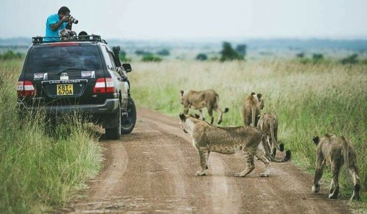 7 DAYS, 5 BEST NATIONAL PARKS – BEACH TO BEACH SAFARI