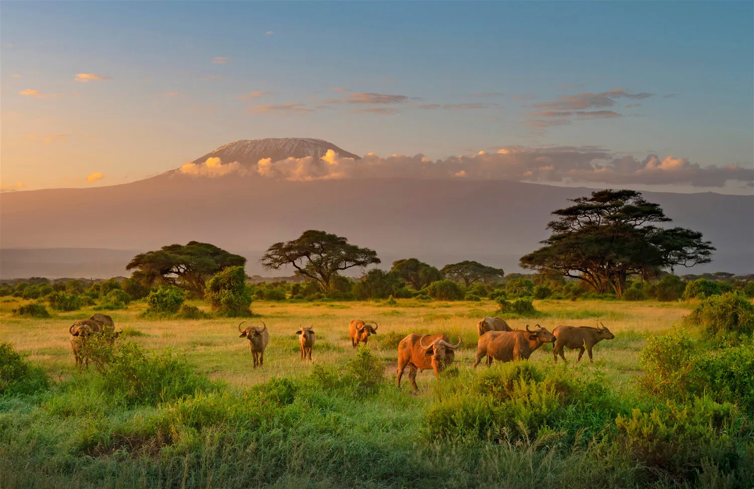 7 Days, 4 National Parks, Nairobi to Kenya Beach Safari