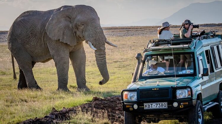 7 Days, 5 National Parks – Kenya Beach to Nairobi Safari