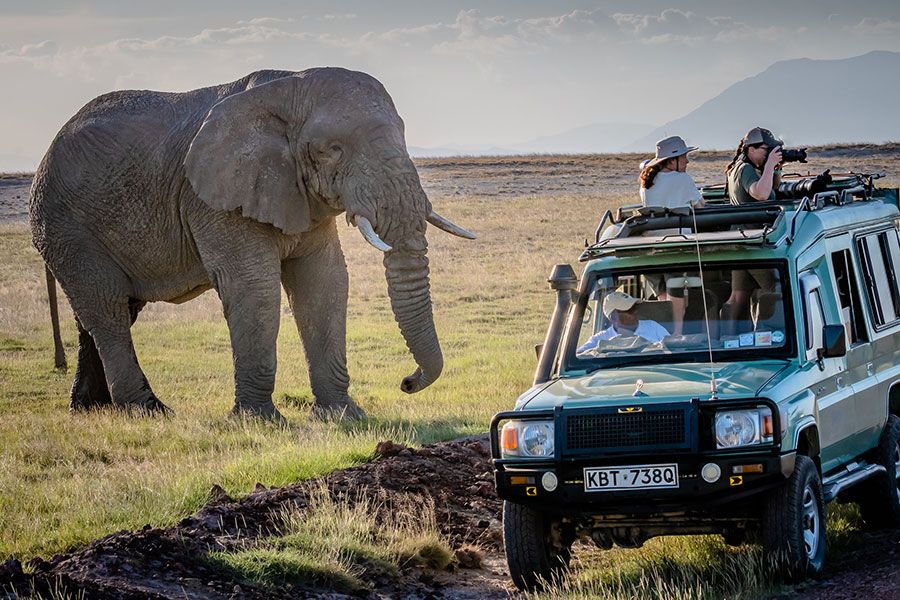 7 Days, 5 National Parks – Kenya Beach to Nairobi Safari