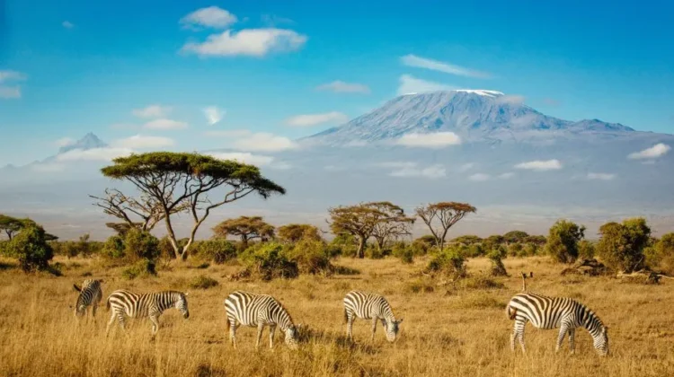 9 Days, 6 National Parks, Nairobi to Kenya Beach by 4×4 land cruiser jeep