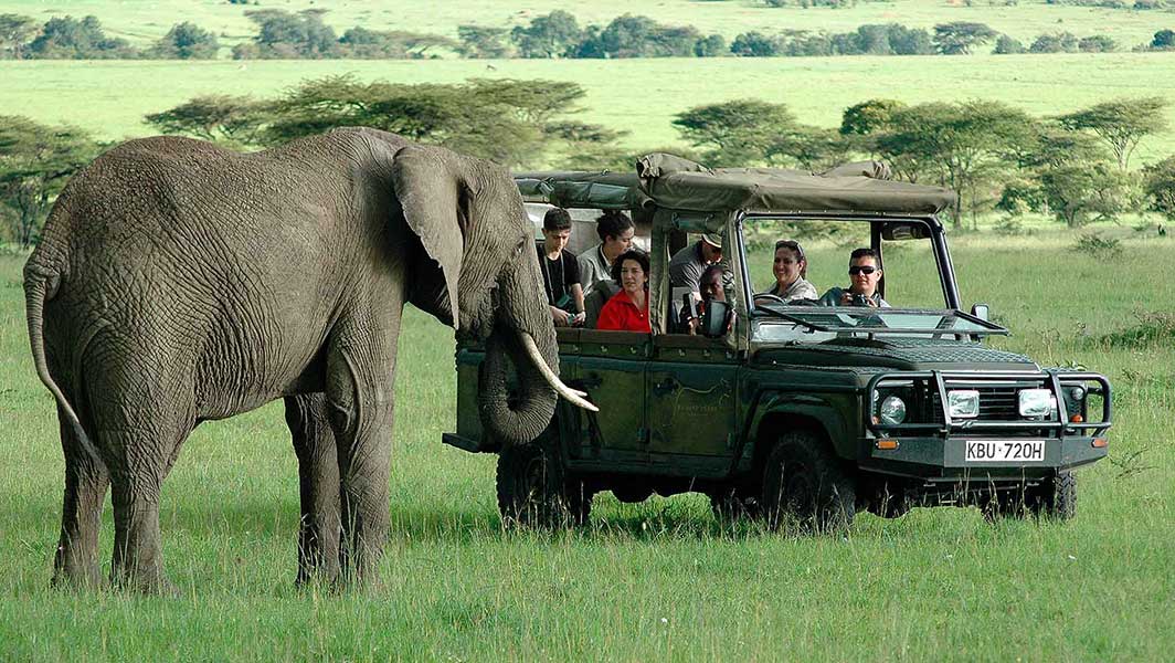 Embark on a Week-Long Tour: See Five of Kenya’s National Parks