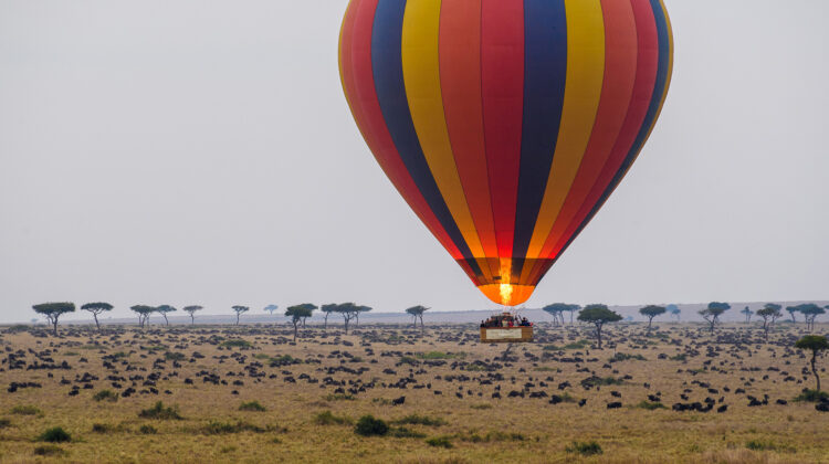 Enjoy a Maasai Mara Hot Air Balloon Flight