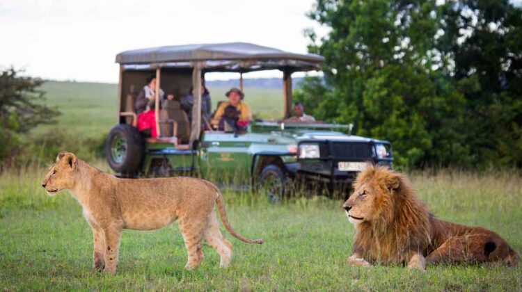 Enjoy this 2-Day Tsavo East National Park Safari from Mombasa