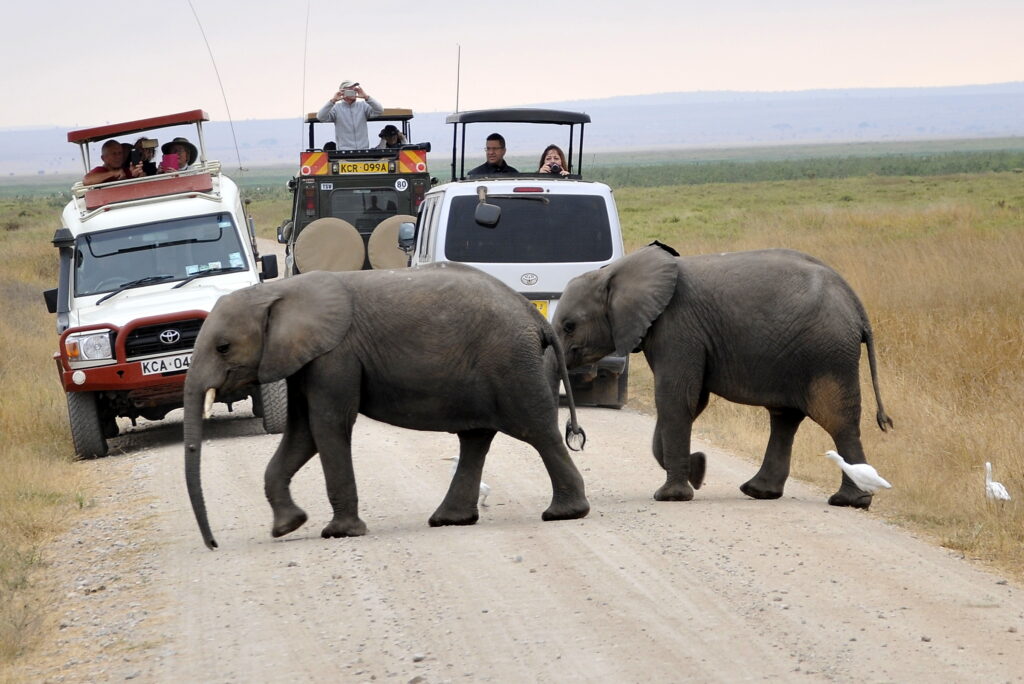 Experience 2-Day Amboseli Safaris