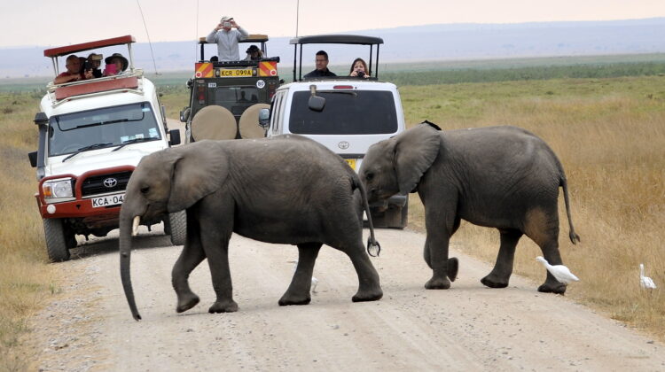 Experience 2-Day Amboseli Safaris