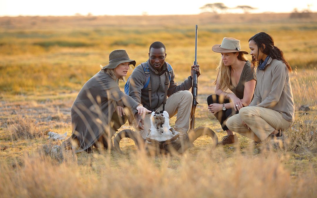 Expert Safari Knowledge