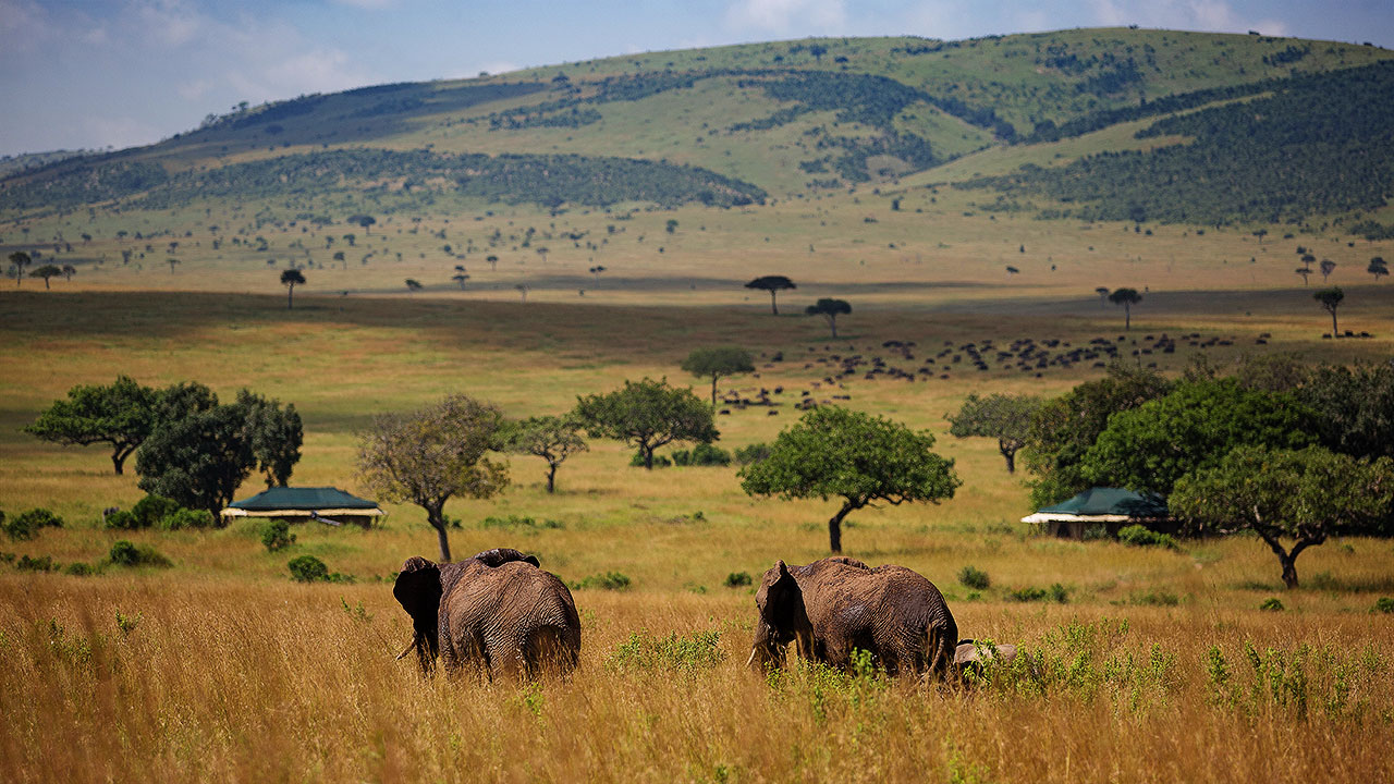 FLY DIANI TO MASAI MARA 2-DAY SAFARI