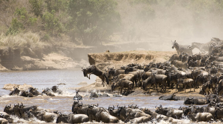 FROM BEACH TO WILDEBEEST – 3-DAY MASAI MARA AIR SAFARI