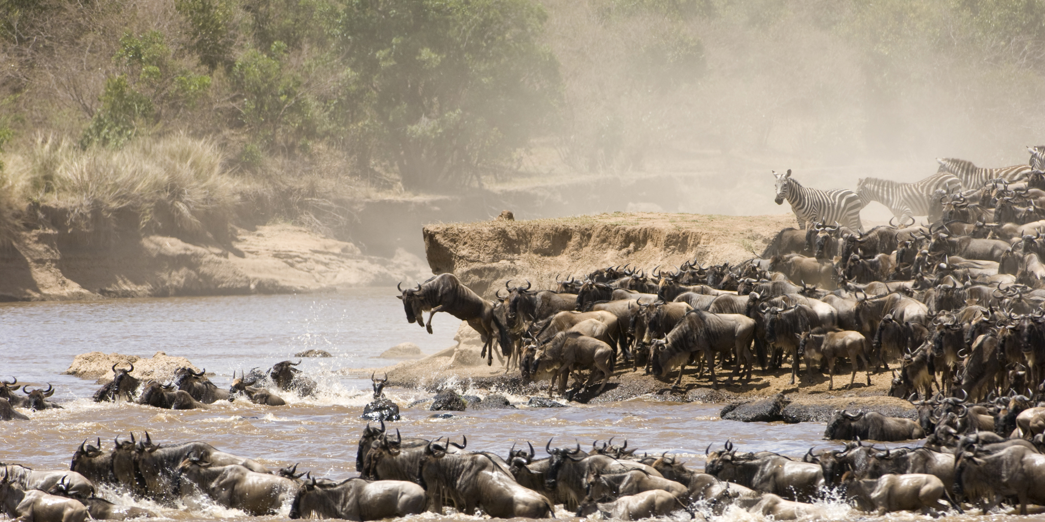FROM BEACH TO WILDEBEEST – 3-DAY MASAI MARA AIR SAFARI