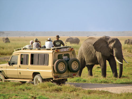 Lakes Nakuru & Naivasha Day Safari Tour