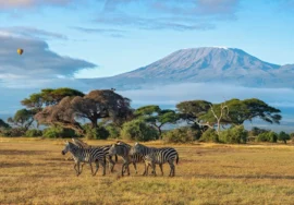 Masai Mara Safaris