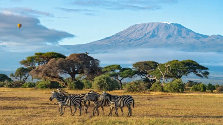 Masai Mara Safaris