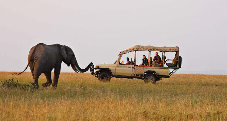 Mombasa Masai Mara Fly In safari 2 Days