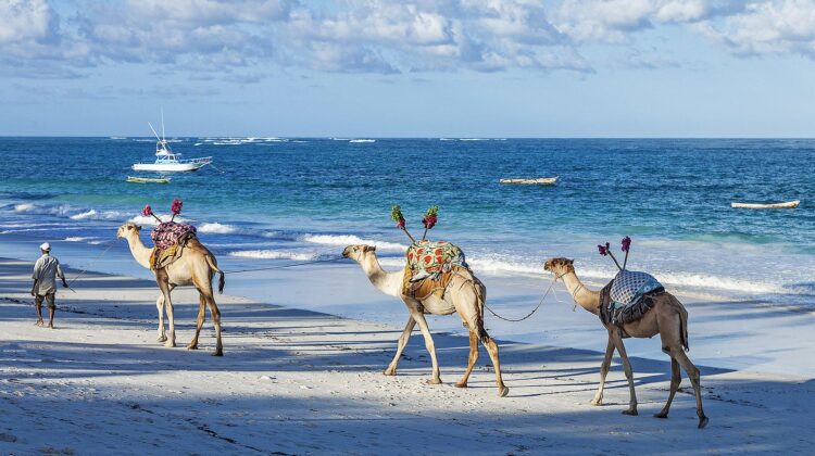 NAIROBI-TO-THE-BEACH-2-PARKS-SAFARI
