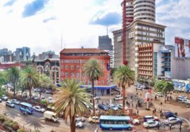 Nairobi City Tour Package (Full Day)
