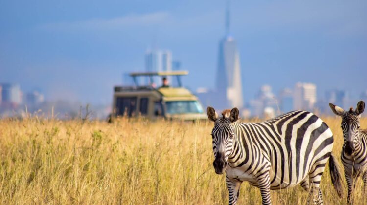 Nairobi National Park