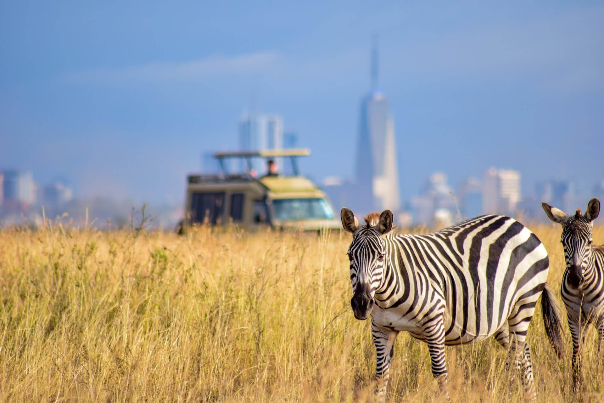 Nairobi National Park