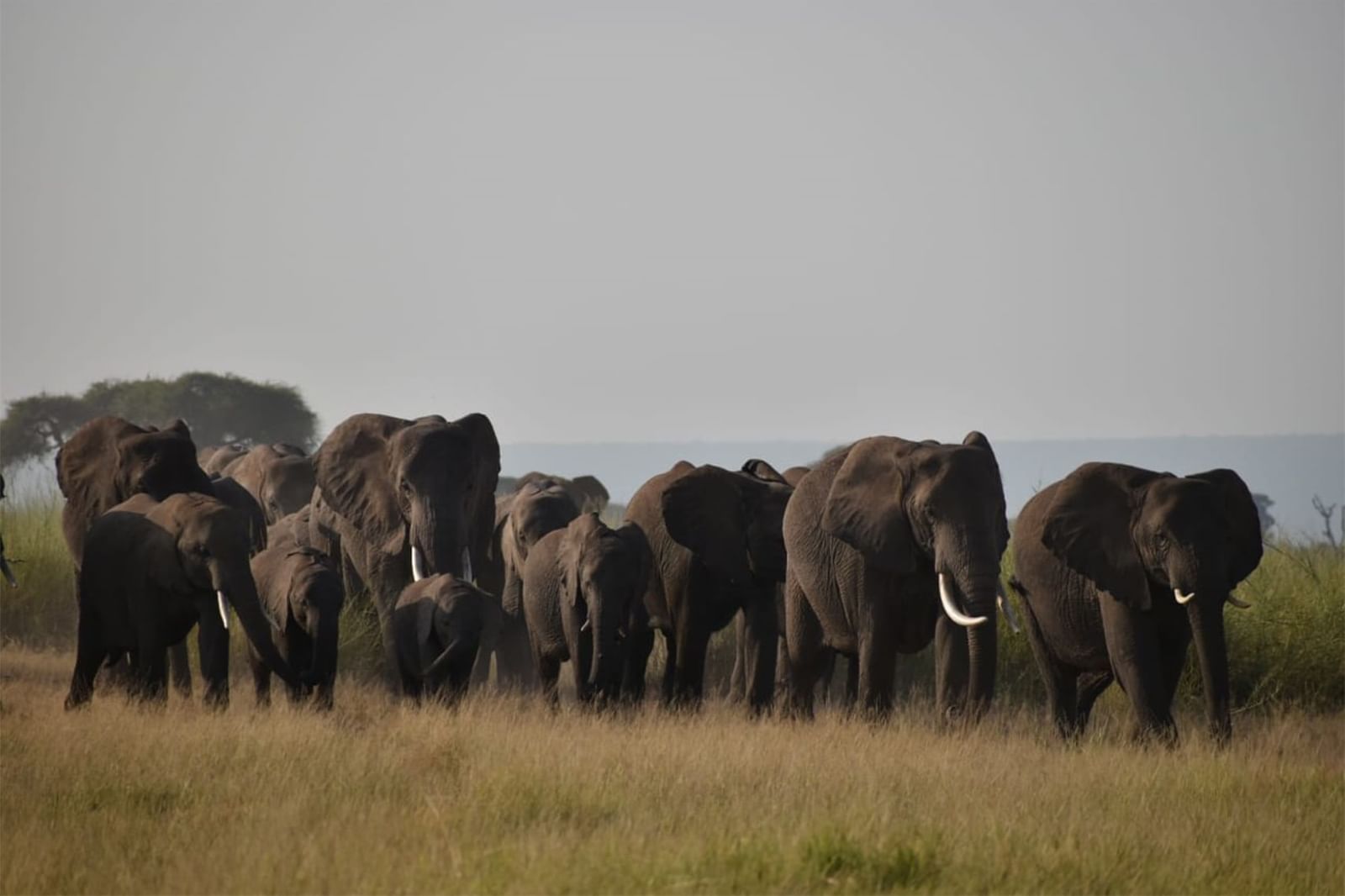 Nairobi day tour: Lake Naivasha, Crescent Island, Hell’s Gate