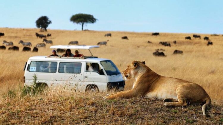 Our 2-Day Mombasa to Tsavo West and Tsavo East Safari: What’s Included?