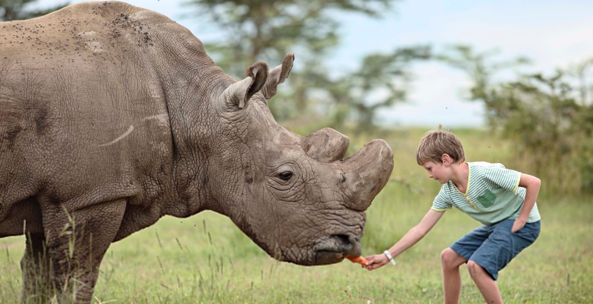 Our Ol Pejeta Conservancy Safari Group Tour