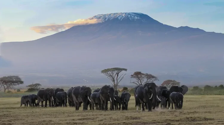 SAMBURU GAME RESERVE 3-DAY FLY IN ADVENTURE