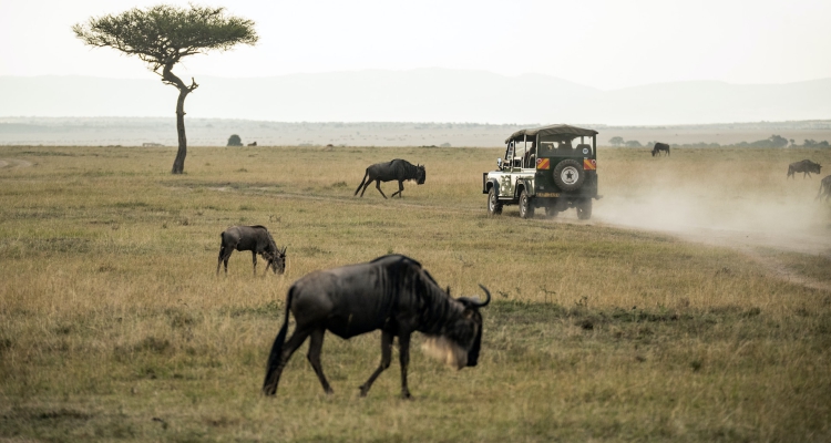 SEE THE BEST OF KENYA IN 6 DAYS