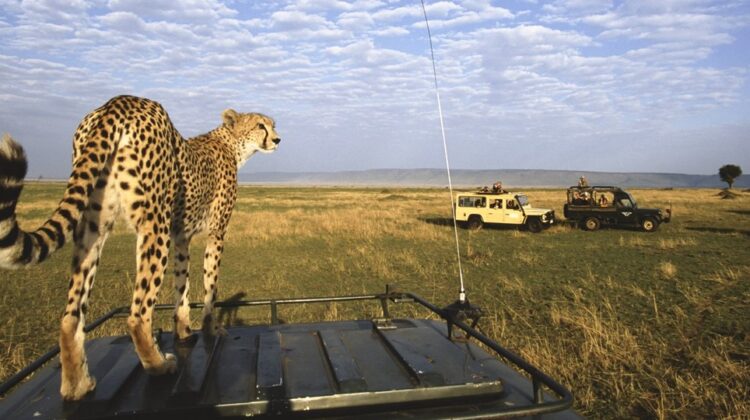 THE BIGGEST AND BEST OF EAST AFRICA IN 10 DAYS