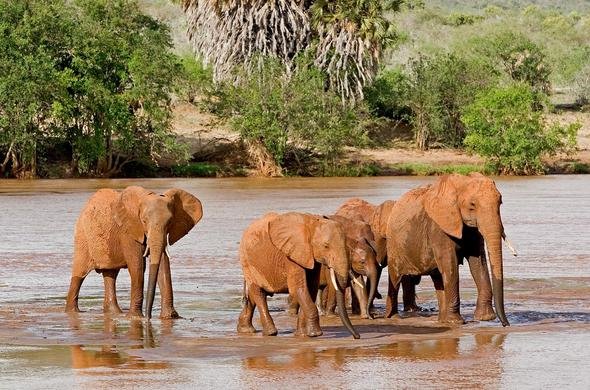 Tsavo East National Park – Kenya