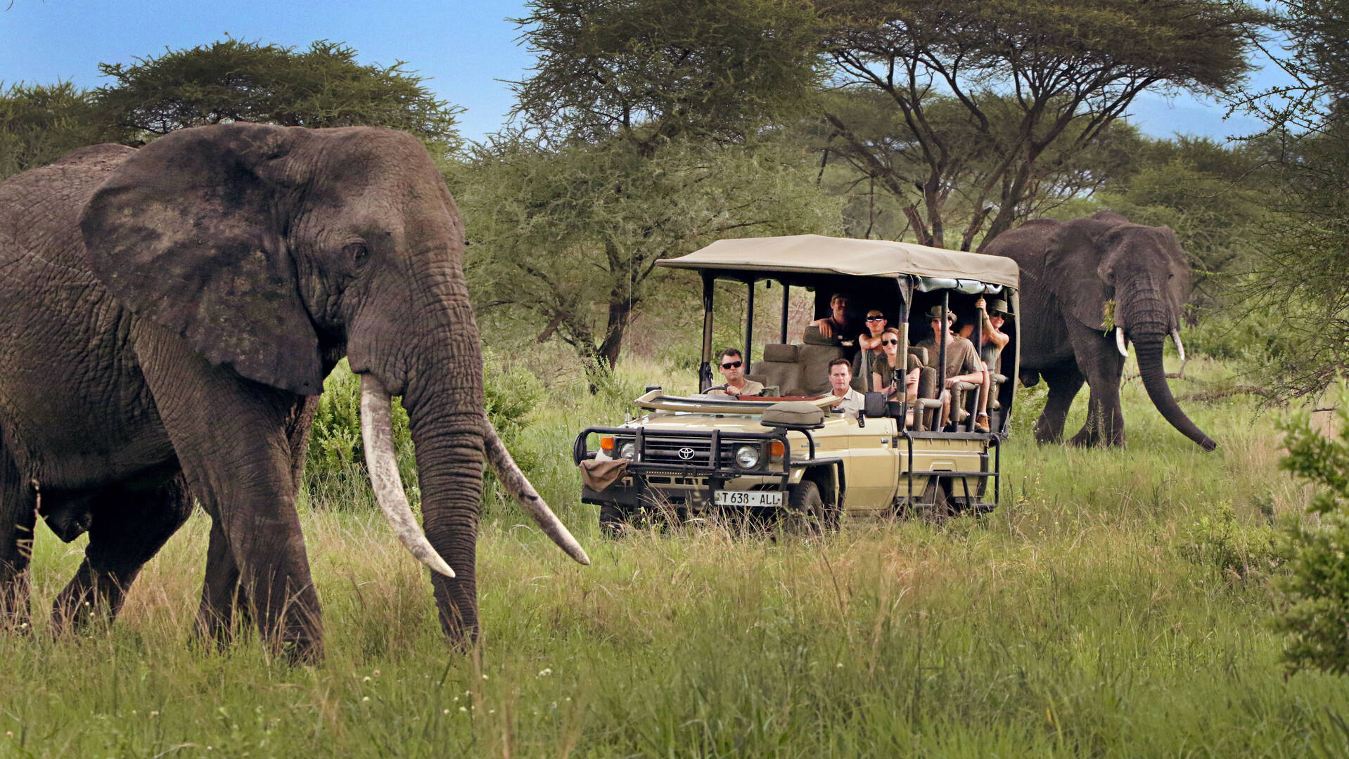 Why Choose African Safari Kenya Holidays